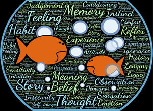 乐鱼vip-法甲实际战术板使用率与胜率关系初步调查，法国套战术板